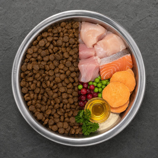 Premium 60% mit frischem Huhn, Truthahn, Lachs & Süßkartoffel - Für Gelenkschutz, DHA Alphadog Nutrition