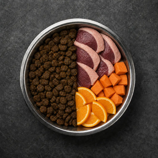 Premium 50% Ente frisch zubereitet, Fischöl, Süßkartoffel & Orange - Immunsystem, Allergie Alphadog Nutrition