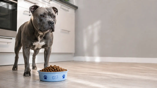 Hundefutter für Bully: Der ultimative Futterguide Alphadog Nutrition