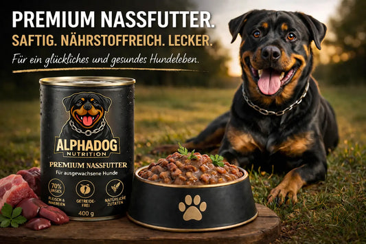 Rottweiler neben AlphaDog Nutrition Trockenfutter Sack in modernem Ambiente