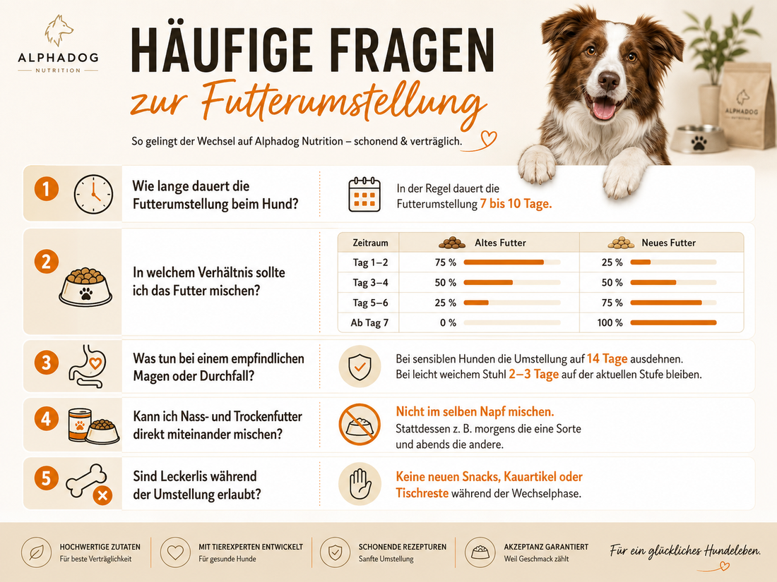 Futterumstellung beim Hund: Dauer, Plan & Tipps Alphadog Nutrition