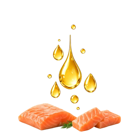 Naturreines Lachs-Öl mit Omega-3 & 6 Alphadog Nutrition