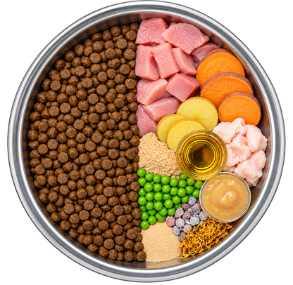 Gastrointestinal- / Verdauungspflege, ganzheitliche Unterstützung - Magen, Darm und Wohlbefinden Alphadog Nutrition
