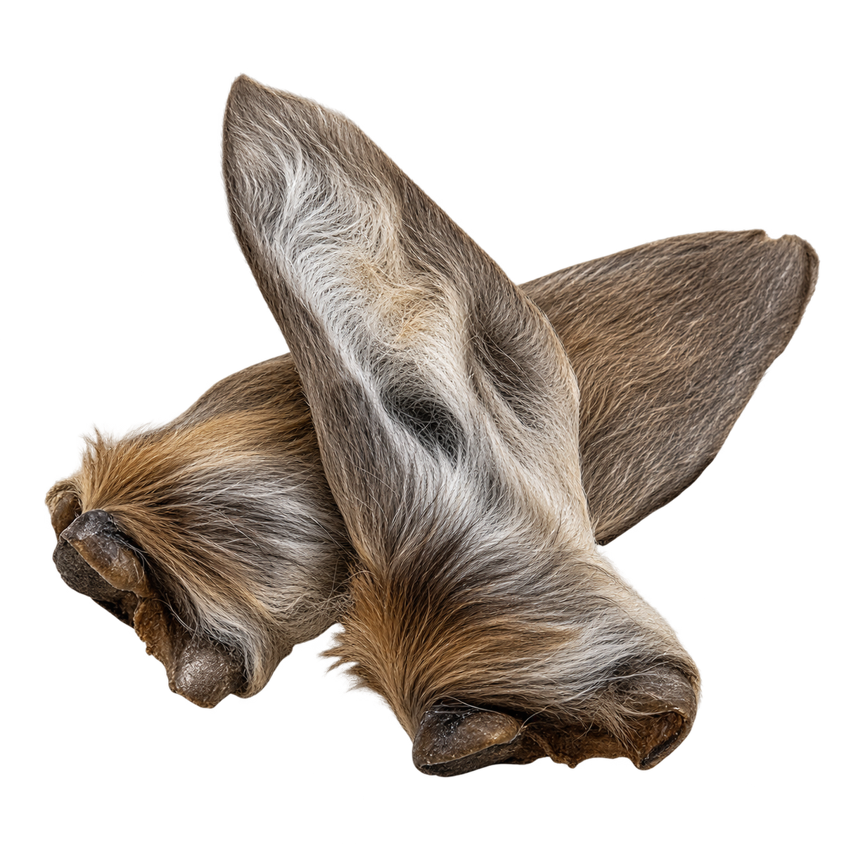 100% Hirschohren mit Fell Naturkauartikel für Hunde - Intensiver Wildgeschmack für Allergiker – Breer – von Alphadog Nutrition