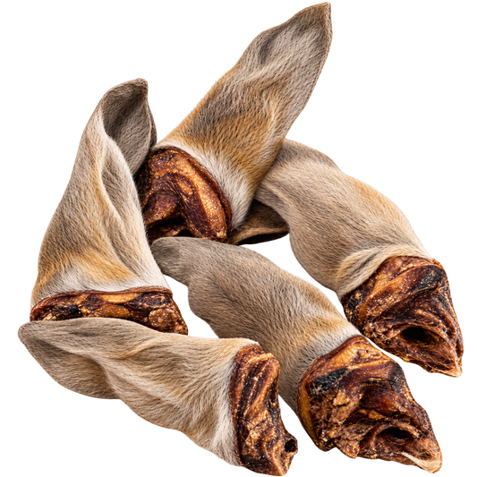 Rehohren mit Fell 100% naturrein für sensible Hunde - Hypoallergener Kausnack für Allergiker – bluefish – von Alphadog Nutrition