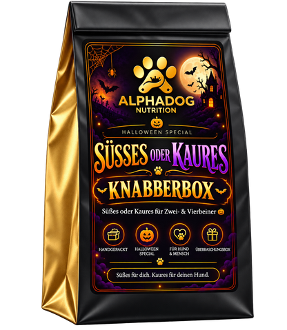 Süßes oder Kaures Halloween Knabberbox + gratis Spielzeug 🎃🧛‍♂️🍭 Süßes oder Kaures für Zwei- & Vierbeiner - Versandkostenfrei