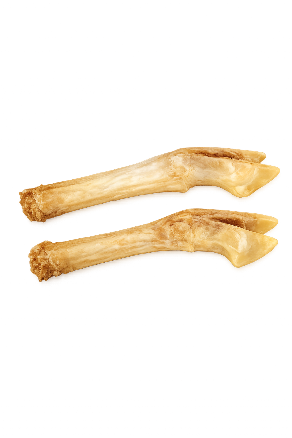 Getrocknete Lammbeine mit anhaftendem Fleisch