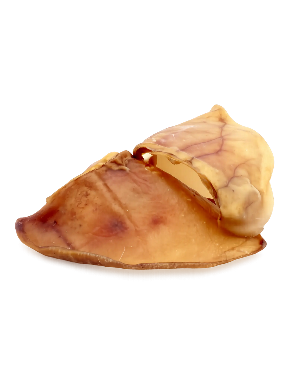 Schweineohrmuschel von Alphadog Nutrition