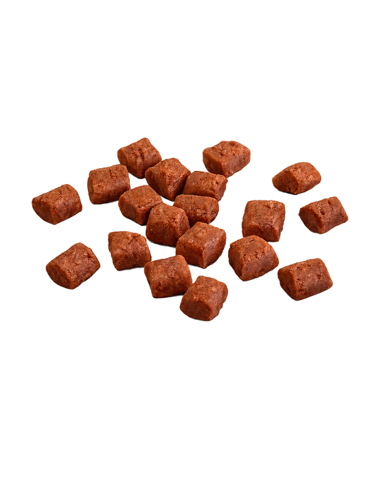 Trainingssnack Insekten Alphadog Nutrition